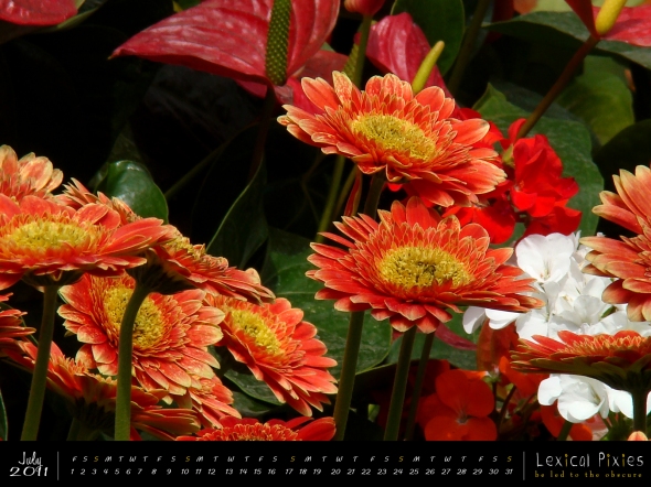 Desktop Wallpaper Calendar 2011 July Flower Theme Nature